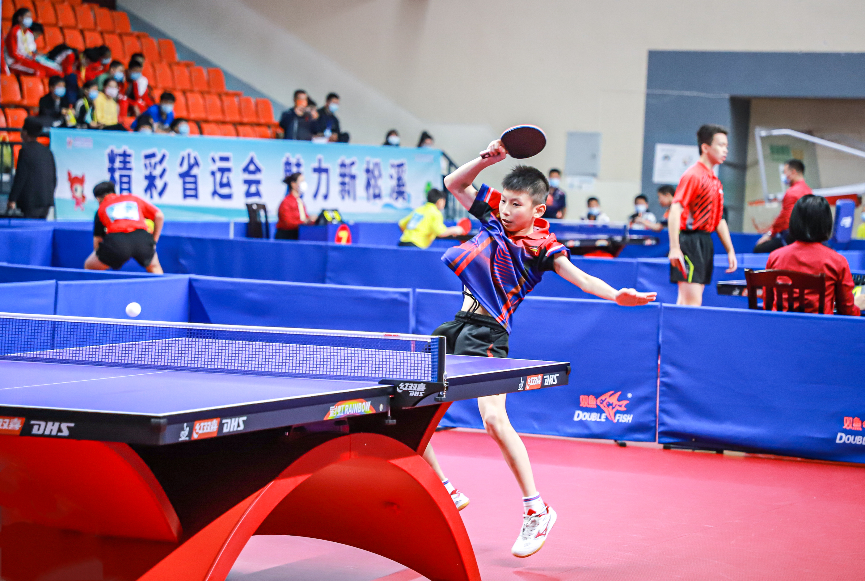 但从科学原 但从科学原