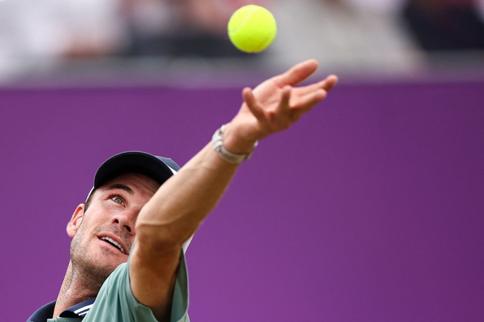 也证明了西 也证明了西